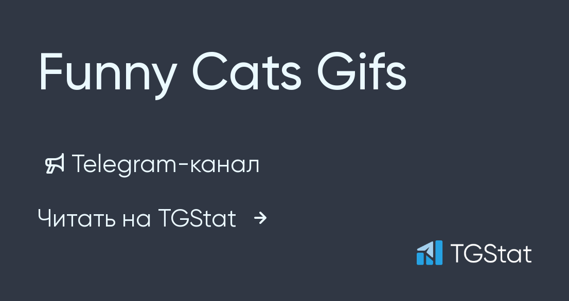 Telegram channel Funny Cats Gifs — @FunnyCatsGifs — TGStat